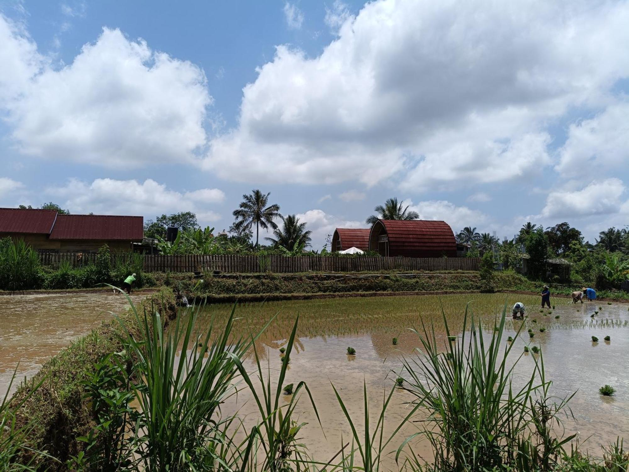 Raturinjani Homestay Selong Екстер'єр фото