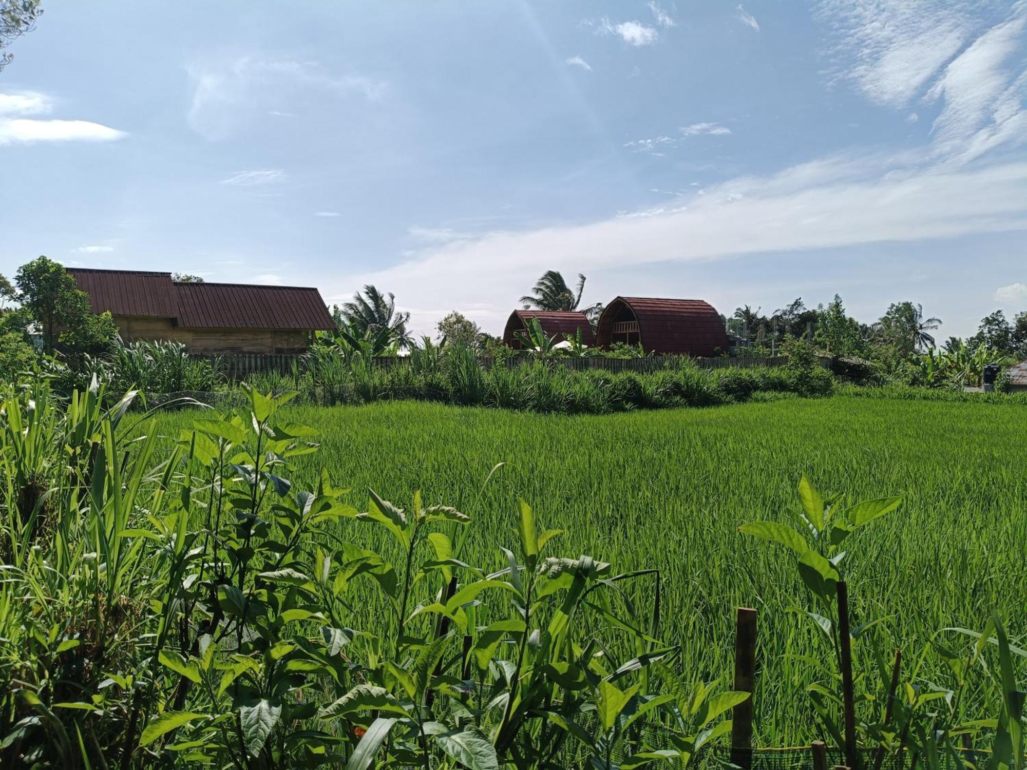Raturinjani Homestay Selong Номер фото